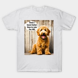 Ridin' with Biden Goldendoodle T-Shirt